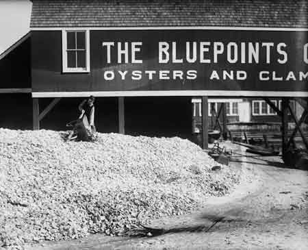 Oysters on Barges