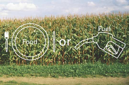 A cornfield with overlaid graphics depicts a fork and knife beside a plate labeled "Food" and a gas pump tagged "Fuel," effectively illustrating the Food and Fuel concept.