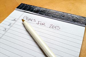 List of Goals for 2015