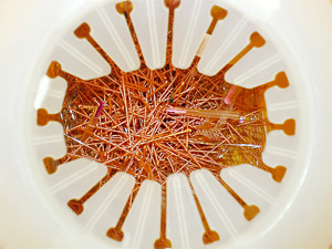 Acupunture Needle Waste