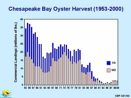 Chesapeake Bay Oyster Harvest 1053-2000