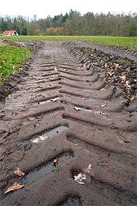 Tractors trail