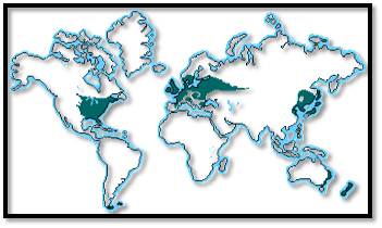 World Biomes Deciduous Forest