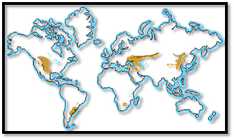 World Biomes Grasslands