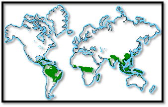 World map highlighting biomes in green across regions of Central and South America, Central Africa, Southeast Asia, and Madagascar.