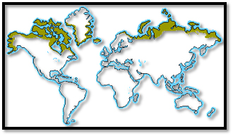 World Biomes Tundra